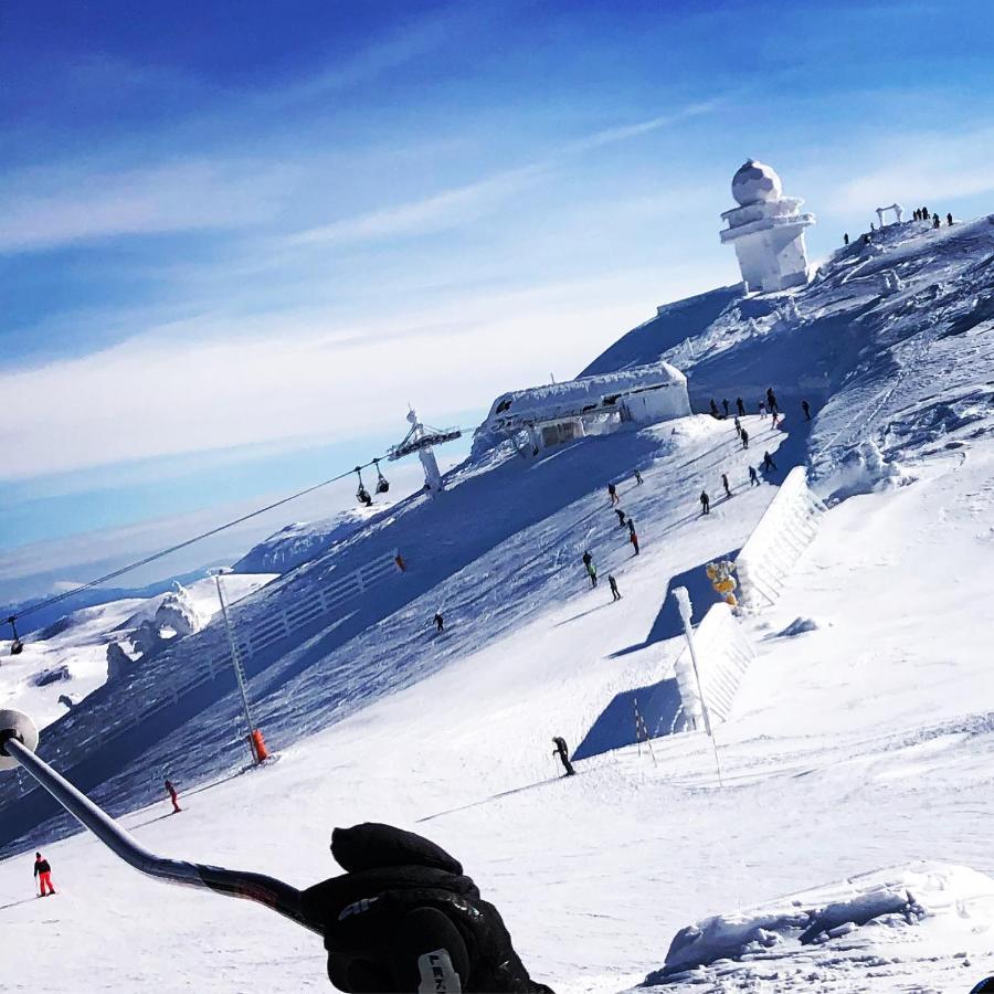 Wolf Apartments Jahorina Zewnętrze zdjęcie